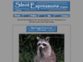 silentexpressions.com