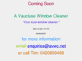 avauclusewindowcleaner.net