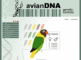 aviandna.com