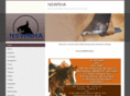 reiningnsw.com