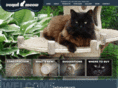 royalmeow.com