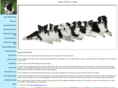 aviarybordercollies.com