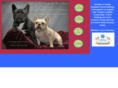 hollywoodfrenchbulldogs.com