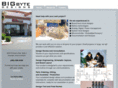 bigbytedesigns.com