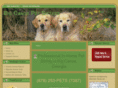 bigcanoepetsitters.com