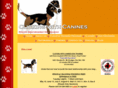 clickingwithk9s.com