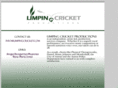 limpingcricket.com