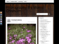 morrischisholm.com