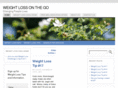 weightlossonthego.info