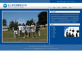 bostonivyedu.com
