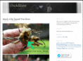 chickandbee.com