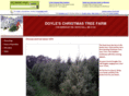 doyleschristmastreefarm.com