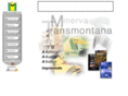 minervavilareal.com