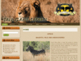 tallgrasssafaris.com