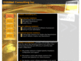 dssinetconsulting.com