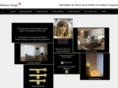 silentium-design.com