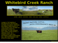 whitebirdcreekranch.com