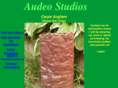 audeostudios.com