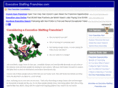 executivestaffingfranchise.com