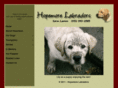 hopemorelabs.com