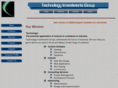 techinvestgroup.com
