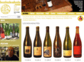 leszinzinsduvin.com