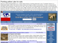 pointingyellowlabs.com