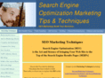 seomarketingtechniques.com