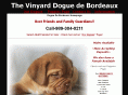 Dogue+de+bordeaux+puppies+for+sale+in+michigan