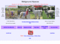 wellground.com