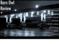 barnowlreview.com