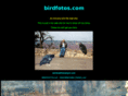 birdfotos.com