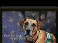 pawsandstripes.org
