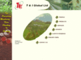 tiglobal.com