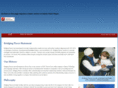 bridgingpieces.com