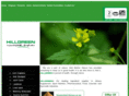 hillgreen.com