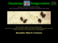 glasdesignboligprodukter.com