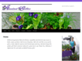 abundantedibles.com