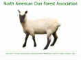 clunforestsheep.org