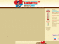 soulrevival2011.com