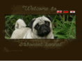 aboneel.com