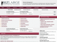 bizlarge.com
