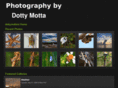 dottymotta.com