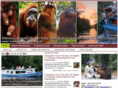 orangutanexplore.com