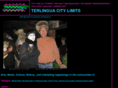 terlinguacitylimits.com