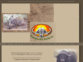 tintshabasafaris.com