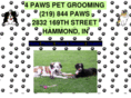 4pawsgrooming.com