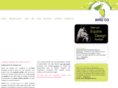 birdandcocreative.com