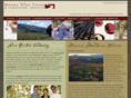 mendowinetours.com