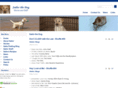 sailorthedog.com